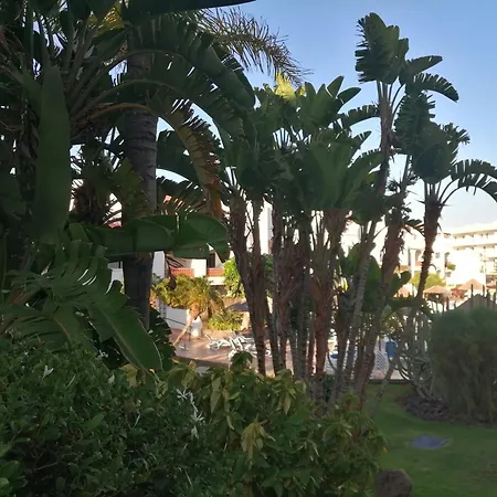 Fairways Club Terrace 公寓 圣米格尔德阿沃纳